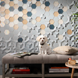 Contourz Fanfare Hex & 4" Hex w/ Flux glass 4" Hex