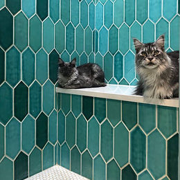 Shower wall with Watercolors Picket O'Keefe by Lunada Bay Tile